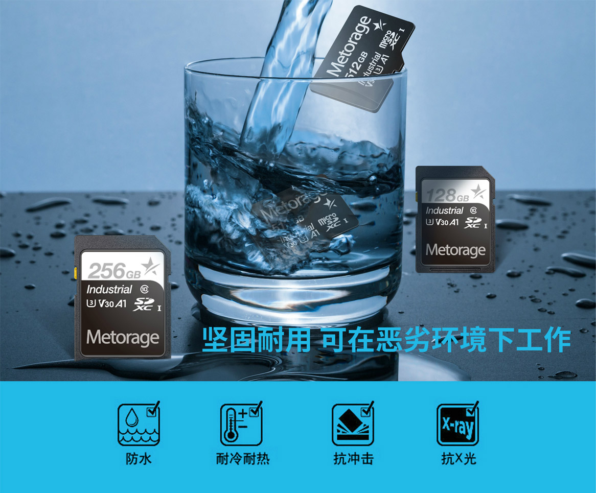 没去过南方的小伙伴怎么能知道自己不够潮呢？（手动狗头）